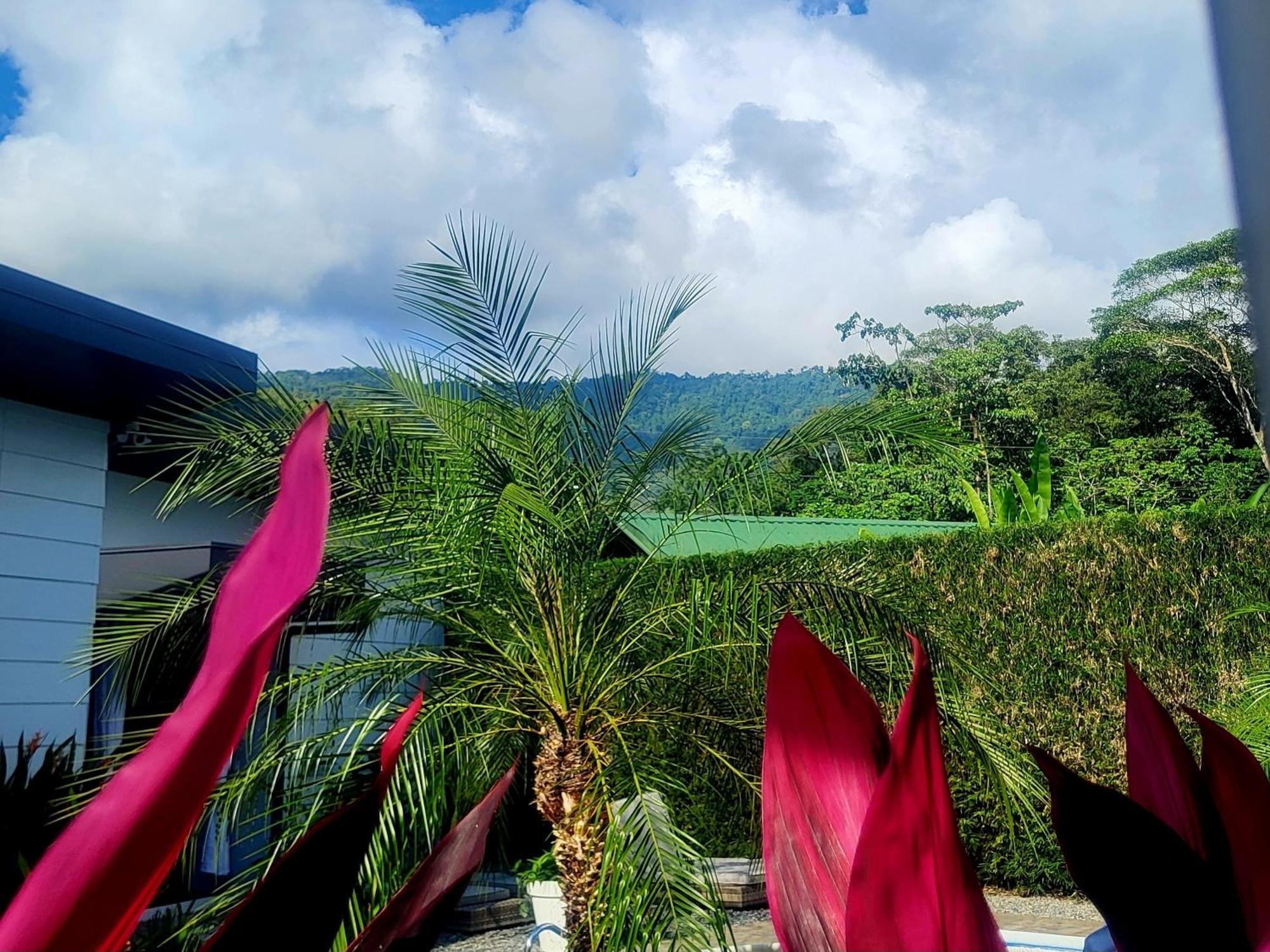 Bed and Breakfast Madre Terra Uvita Esterno foto