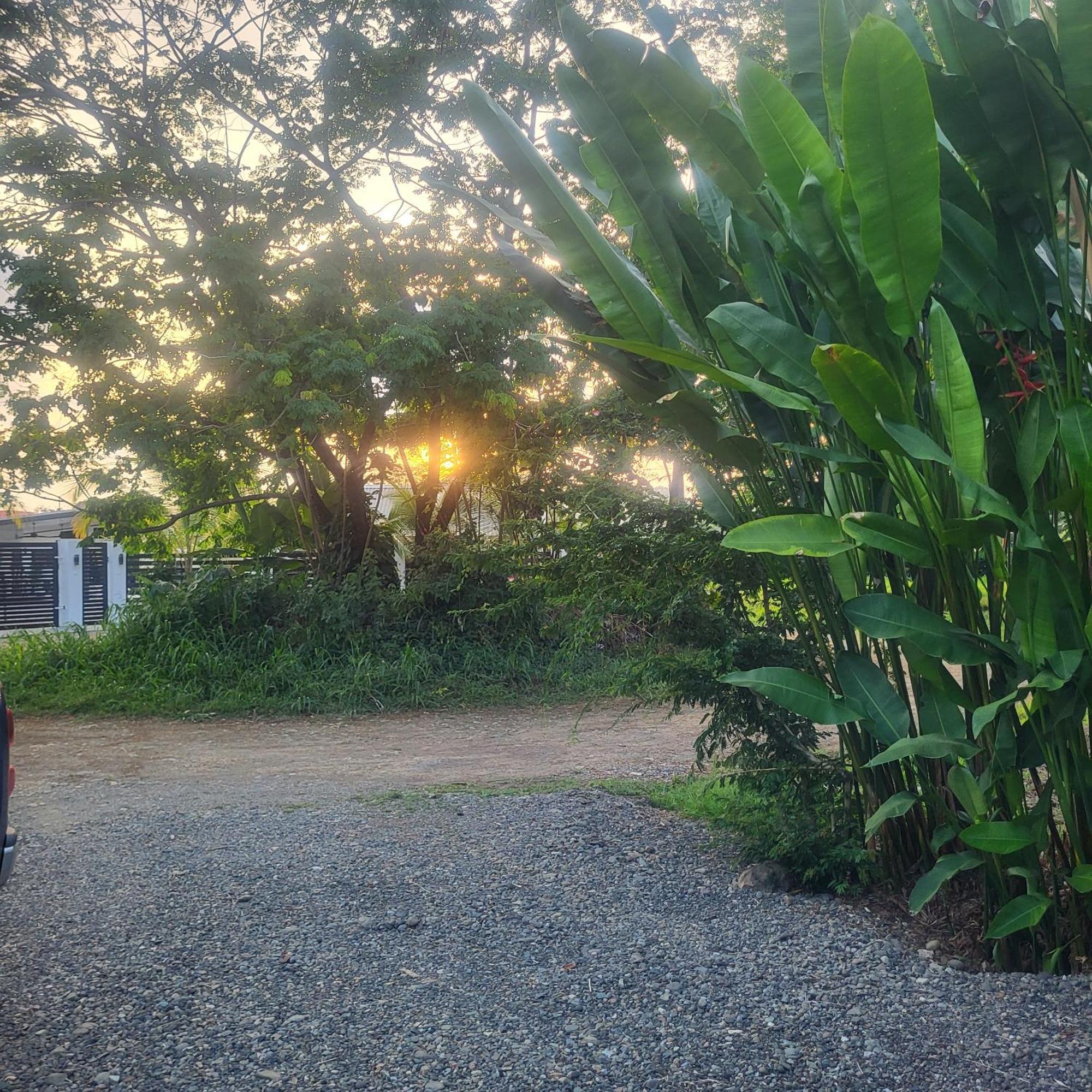 Bed and Breakfast Madre Terra Uvita Esterno foto